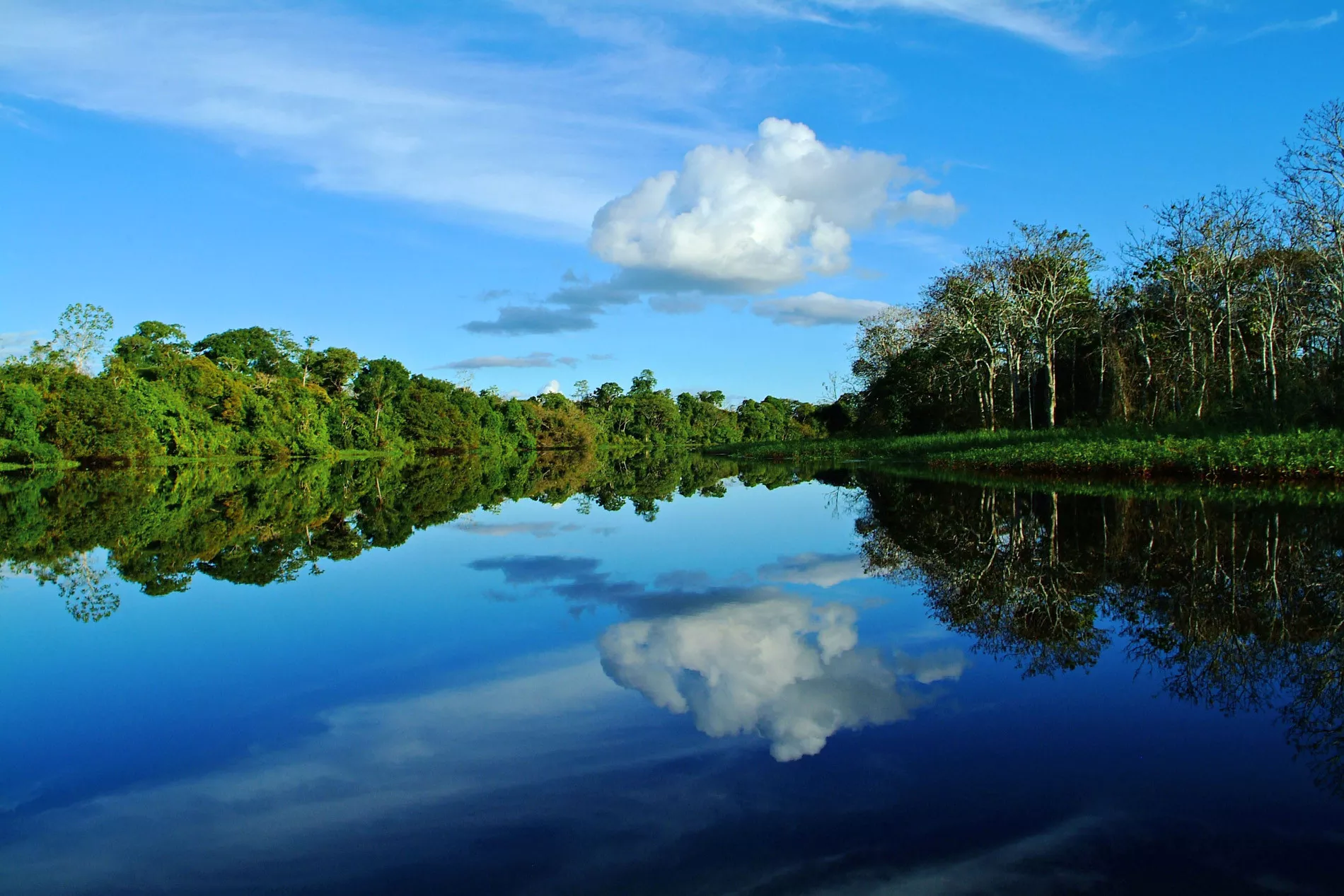 Aqua Expeditions Aria Amazon 